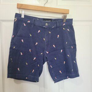Raw Yarn Industries Mens 30 Shorts Blue Popcicle Ice Cream Stretch Twill